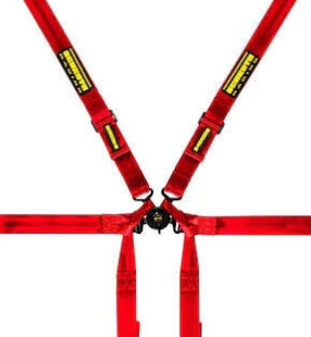 Schroth Flexi 2x2 Porsche GT3-GT4 6 Point Racing Harness