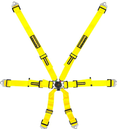 Schroth Flexi 2x2 6 Point Racing Harness